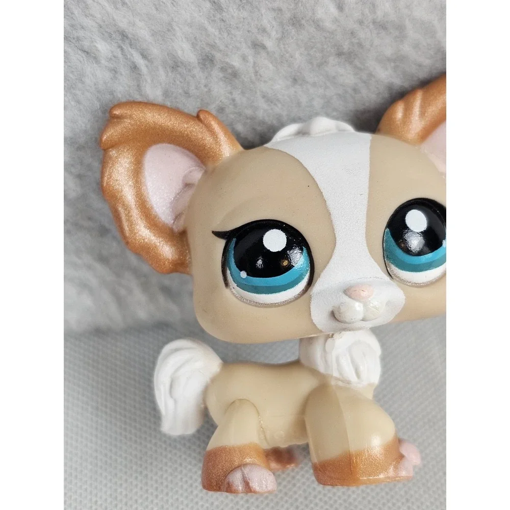 Littlest Pet Shop LPS #1082 Brown White Shimmer Chihuahua Journal Dog, Blue Eyes